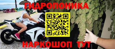 амф Новокубанск