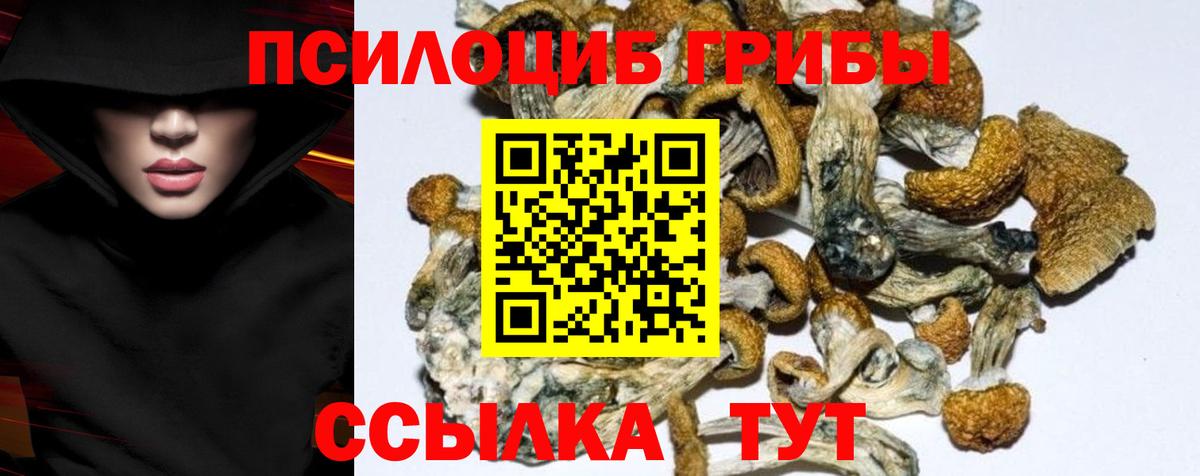 где можно купить наркотик  Вход с VPN  Фурманов  Псилоцибиновые грибы мицелий 