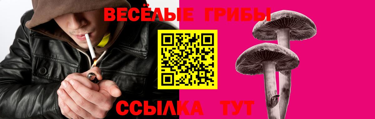 Галлюциногенные грибы мицелий Фурманов